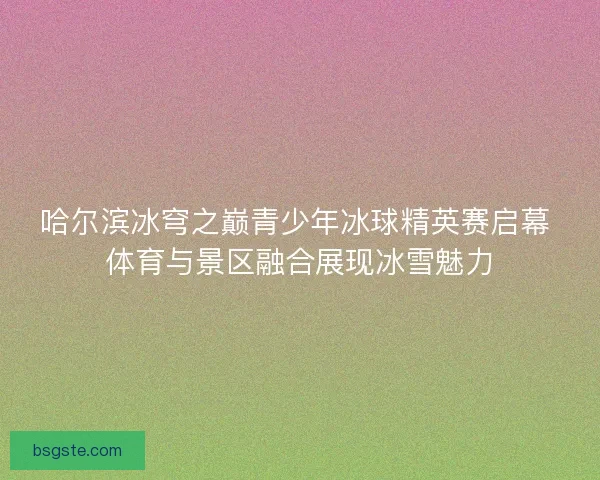 哈尔滨冰穹之巅青少年冰球精英赛启幕 体育与景区融合展现冰雪魅力
